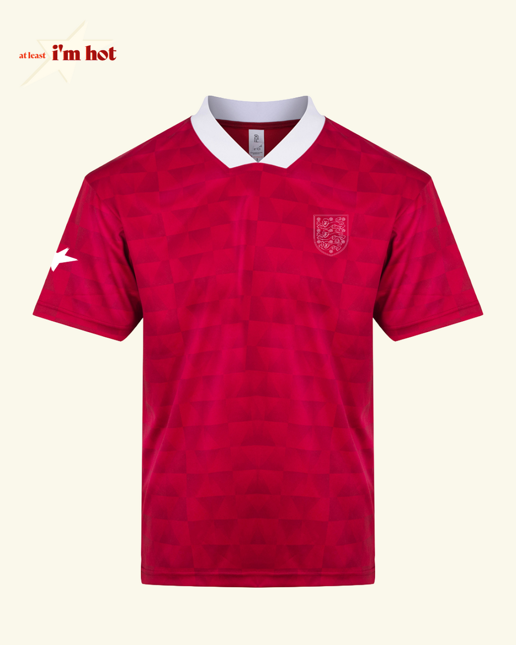 England Lions Outline - Jersey